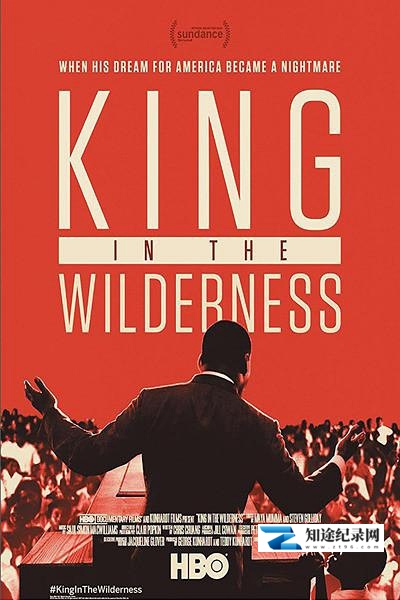 [其他]在野之金 King in the Wilderness-知途纪录片网盘资源下载