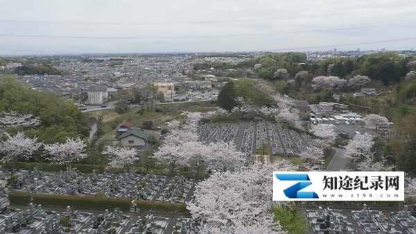 [NHK]树木葬 樱花树下来见你 樹木葬 桜の下のあなたへ-知途纪录片网盘资源下载