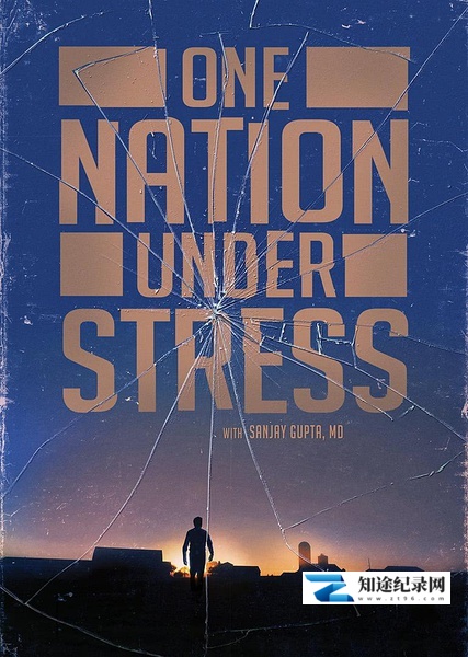 [其他]“压力山大”的美国人 One Nation Under Stress-知途纪录片网盘资源下载