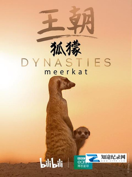 [BBC]王朝：狐獴特辑 Dynasties: Meerkat Special-知途纪录片网盘资源下载