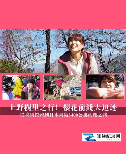 [NHK]上野树里之行！樱花前线大追迹 从喜马拉雅到日本列岛5400公里的樱之路-知途纪录片网盘资源下载