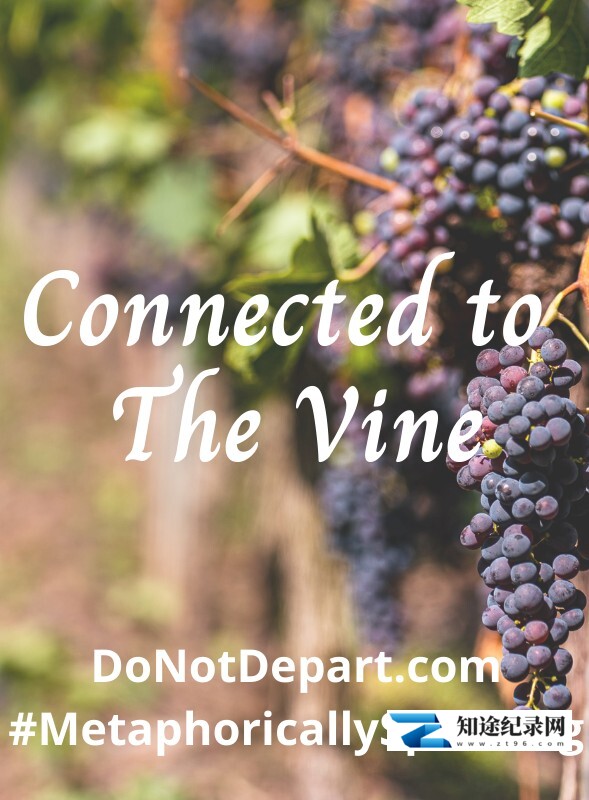 [国家地理]恋上葡萄酒 Exploring The Vine-知途纪录片网盘资源下载