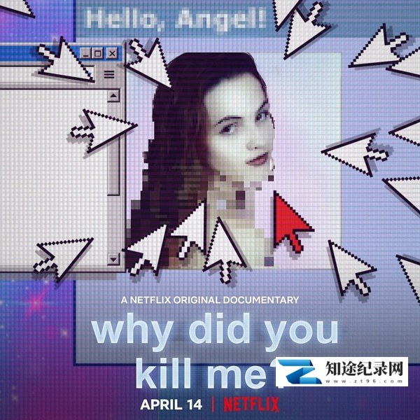 网络缉凶 / Why Did You Kill Me?