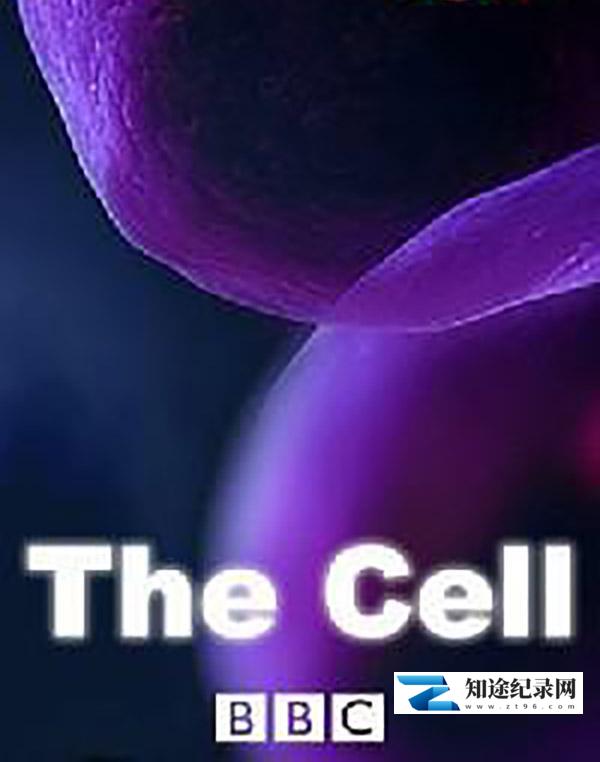 [BBC]细胞 The Cell-知途纪录片网盘资源下载