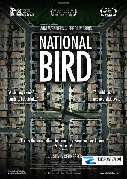 [其他]国鸟 National Bird-知途纪录片网盘资源下载