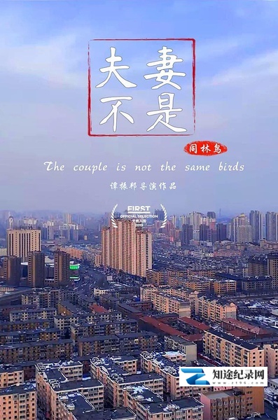[其他]夫妻不是同林鸟 The Couple Is Not the Same Birds-知途纪录片网盘资源下载