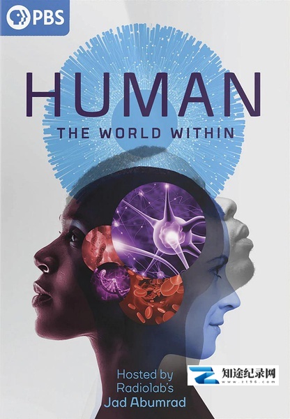 人类:体内的世界 / Human: The World Within
