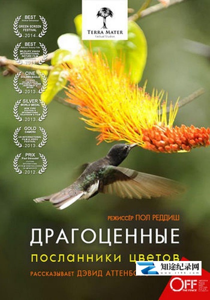 [其他]蜂鸟：宝石般的信使 Hummingbirds Jewelled Messengers-知途纪录片网盘资源下载