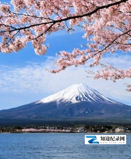 [NHK]樱花树之恋 日本人和樱花的故事-知途纪录片网盘资源下载