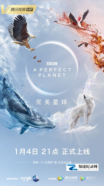 [BBC]完美星球 A Perfect Planet-知途纪录片网盘资源下载