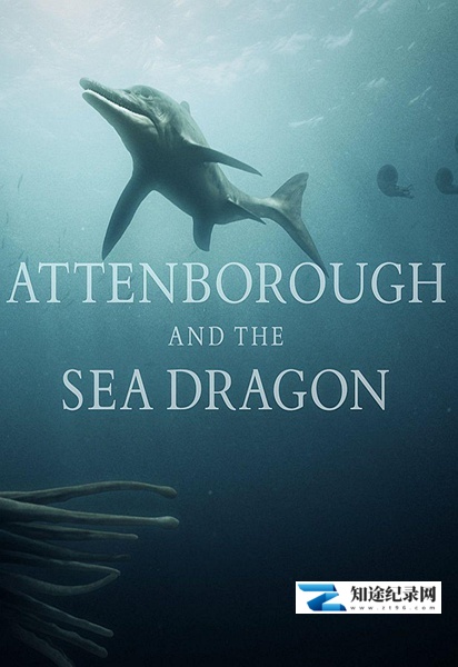 [BBC]爱登堡爵士和海龙 Attenborough and the Sea Dragon / 爱登堡之鱼龙-知途纪录片网盘资源下载