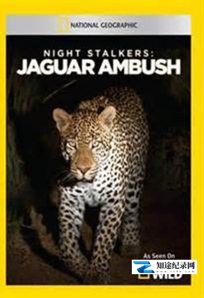 [国家地理]夜行追踪 Night Stalkers-知途纪录片网盘资源下载