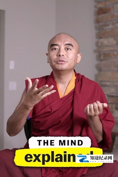 [Netflix]头脑解密 第二季 The Mind, Explained Season 2-知途纪录片网盘资源下载