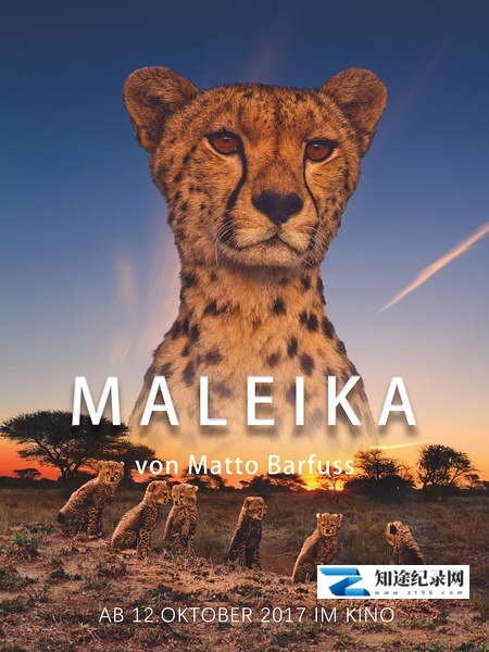[其他]非洲：动物乐园 Maleika-知途纪录片网盘资源下载