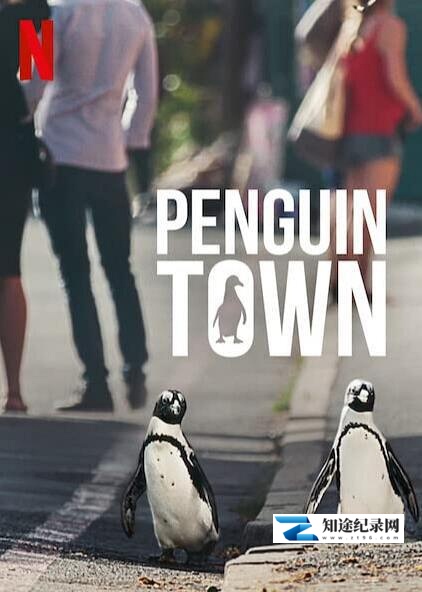[Netflix]企鹅小镇 Penguin Town-知途纪录片网盘资源下载