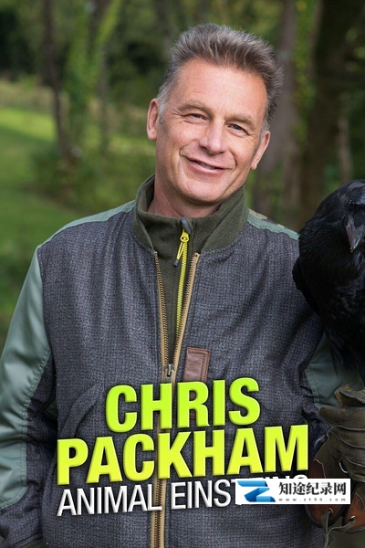 [BBC]动物界的爱因斯坦 第一季 Chris Packham's Animal Einsteins Season 1-知途纪录片网盘资源下载
