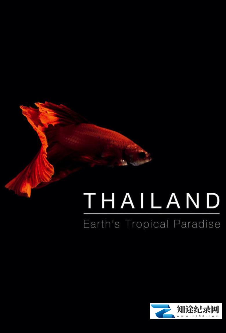 [BBC]泰国：地球上的赤道天堂 Thailand: Earth's Tropical Paradise-知途纪录片网盘资源下载