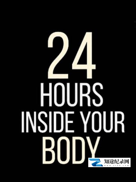 [其他]24小时人体大揭密 24 Hours Inside Your Body-知途纪录片网盘资源下载