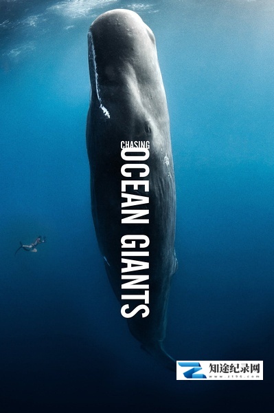 [Discovery]追踪海洋巨兽 Chasing Ocean Giants-知途纪录片网盘资源下载