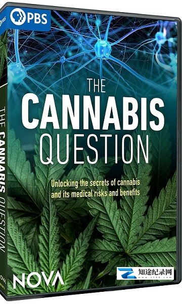 [PBS]揭秘大麻 The Cannabis Question-知途纪录片网盘资源下载