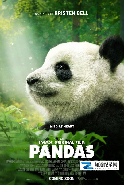 [IMAX]大熊猫 Pandas-知途纪录片网盘资源下载