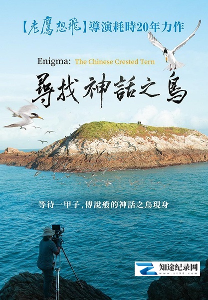 [其他]寻找神话之鸟 Enigma: The Chinese Crested Tern-知途纪录片网盘资源下载