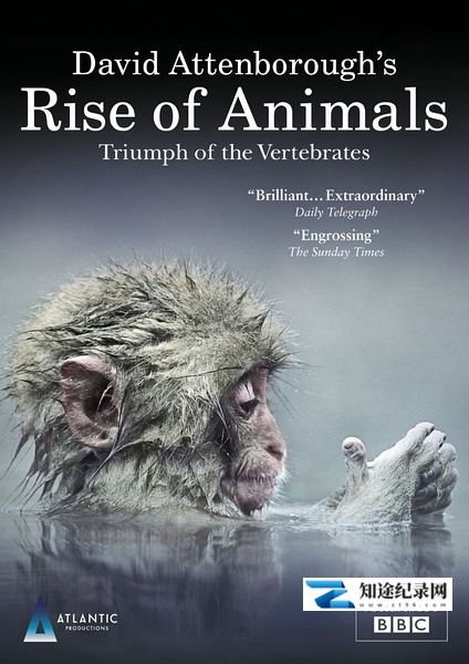 [BBC]动物的崛起：脊椎动物的胜利 David Attenborough's Rise of Animals: Triumph of the Vertebrates-知途纪录片网盘资源下载