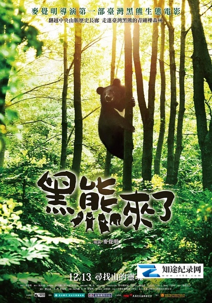 [其他]黑熊来了 Formosan B.B. is Coming-知途纪录片网盘资源下载