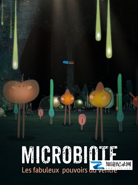 [其他]菌群，肚子的神奇魔法 Microbiote, les fabuleux pouvoirs du ventr-知途纪录片网盘资源下载