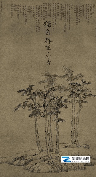 [其他]独自存在 Lone Existence-知途纪录片网盘资源下载