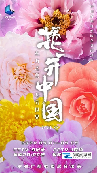花开中国 / The Signature of Flowers