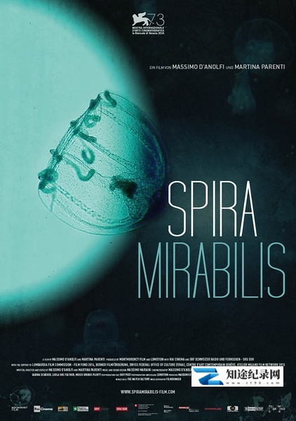 [其他]螺纹  Spira mirabilis-知途纪录片网盘资源下载