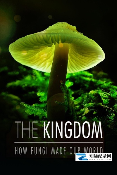 [其他]真菌王国 The Kingdom: How Fungi Made Our Worl / 真菌如何造就世界-知途纪录片网盘资源下载