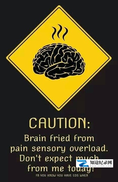 [其他]大脑超载 Brain Overload-知途纪录片网盘资源下载