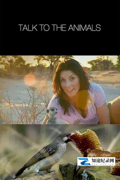 [BBC]破译动物语言密码 Talk to the Animals-知途纪录片网盘资源下载