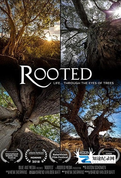 [其他]生命之树  Rooted-知途纪录片网盘资源下载