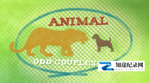 [BBC]奇特的动物伙伴 Animal Odd Couples-知途纪录片网盘资源下载