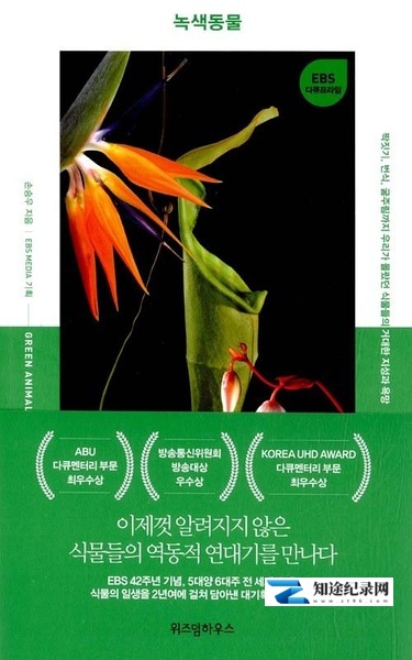 绿色动物 / Green Animals