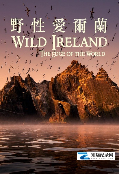 [BBC]狂野爱尔兰：世界边缘 Wild Ireland:The Edge of the World-知途纪录片网盘资源下载