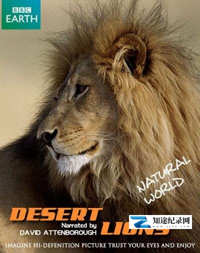 [其他]沙漠狮 Desert Lions-知途纪录片网盘资源下载