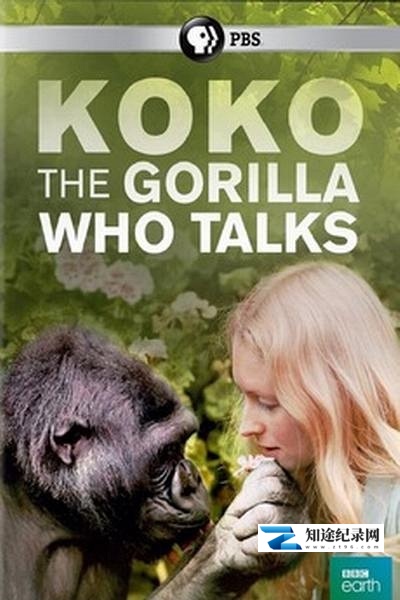 [PBS]可可：能和人类说话的大猩猩 Koko: The Gorilla Who Talks to People-知途纪录片网盘资源下载
