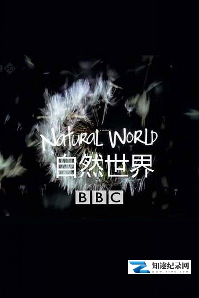 [BBC]美洲豹 – 巴西的超级猫科动物 美洲豹 – 巴西的大型猫科动物-知途纪录片网盘资源下载