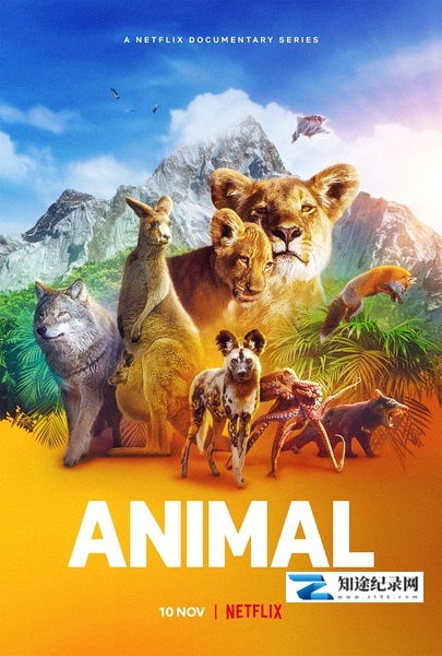 [Netflix]动物本色 第一季 Animal Season 1-知途纪录片网盘资源下载