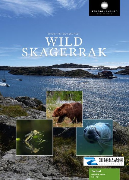 [BBC]野性北欧海峡 Wild Skagerrak-知途纪录片网盘资源下载