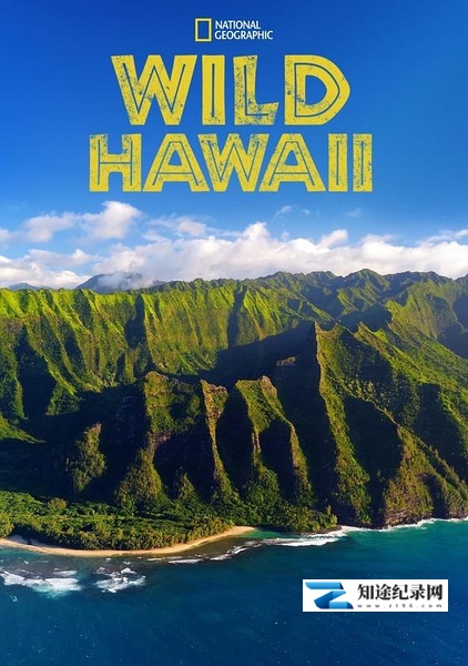 [国家地理]狂野夏威夷 Wild Hawaii-知途纪录片网盘资源下载