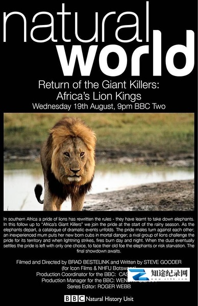 [BBC]大型杀手归来 Return Of The Giant Killers – Africa's Lion Kings-知途纪录片网盘资源下载