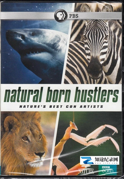 [PBS]天生骗徒 Natural Born Hustlers-知途纪录片网盘资源下载