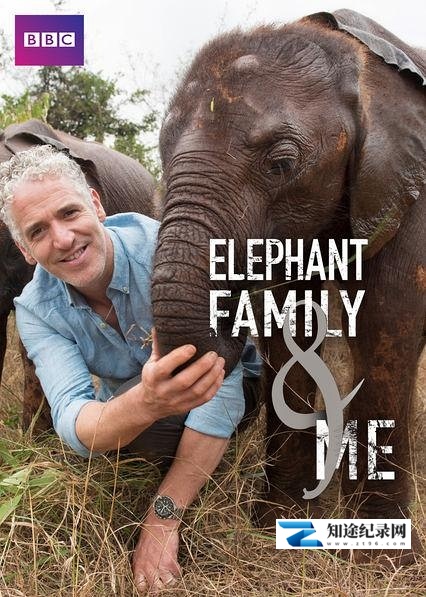 [BBC]非洲象家族与我 Elephant Family & Me-知途纪录片网盘资源下载