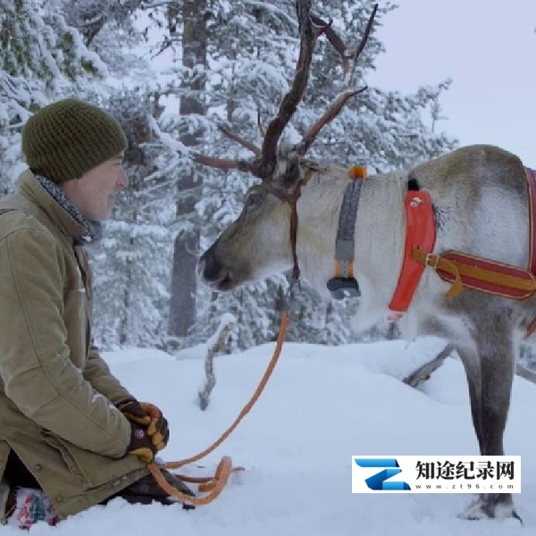 [BBC]驯鹿一家和我 Reindeer Family & Me / 驯鹿家族与我-知途纪录片网盘资源下载