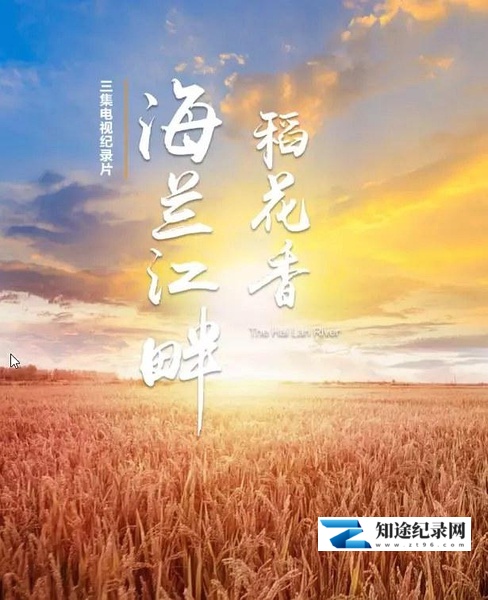 海兰江畔稻花香 / 海兰江畔稻花香